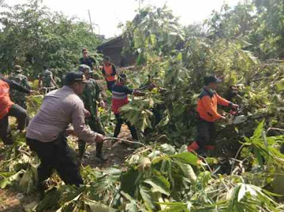 PUTING BELIUNG PORAK – PORANDAKAN SATU DESA DI JENAR SRAGEN. 101 RUMAH RUSAK, PULUHAN POHON BERTUMBANGAN
