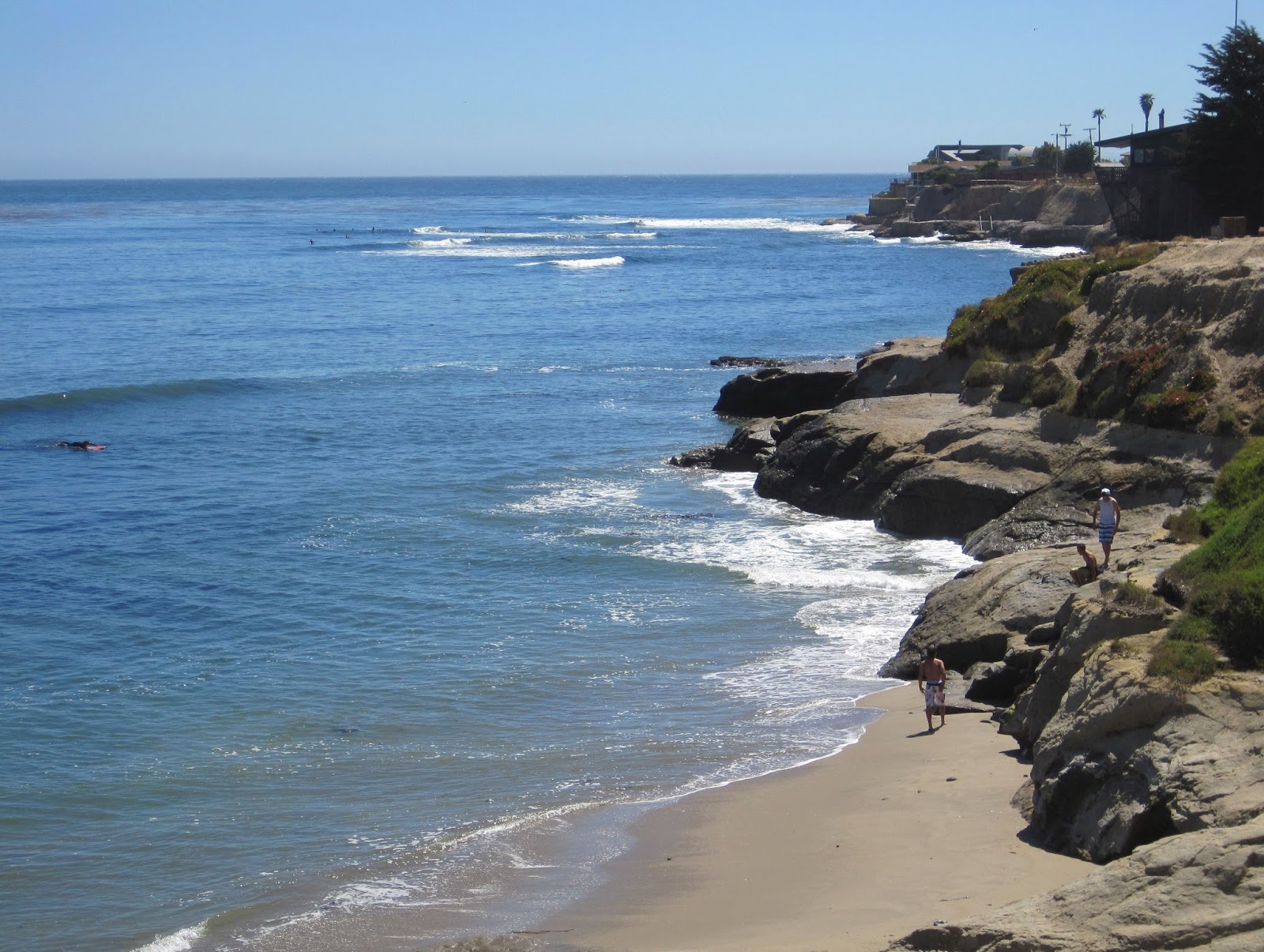 Forestdweller Pleasure Point