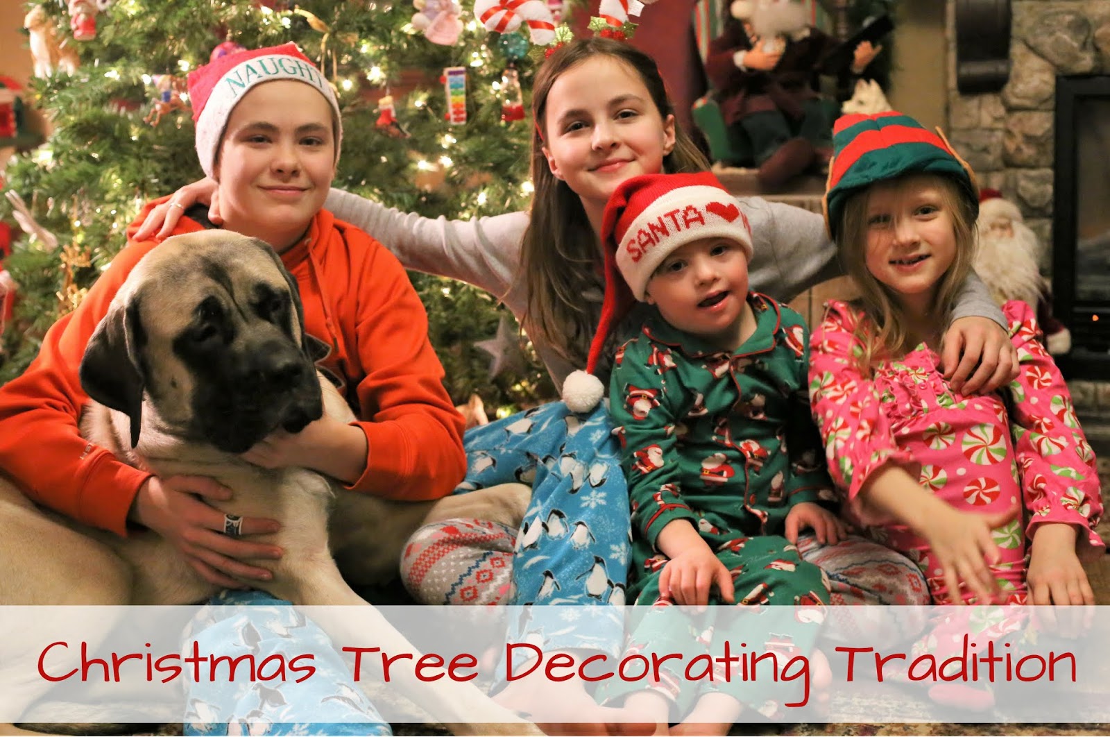 Our Five Ring Circus Christmas Tree Decorating Tradition