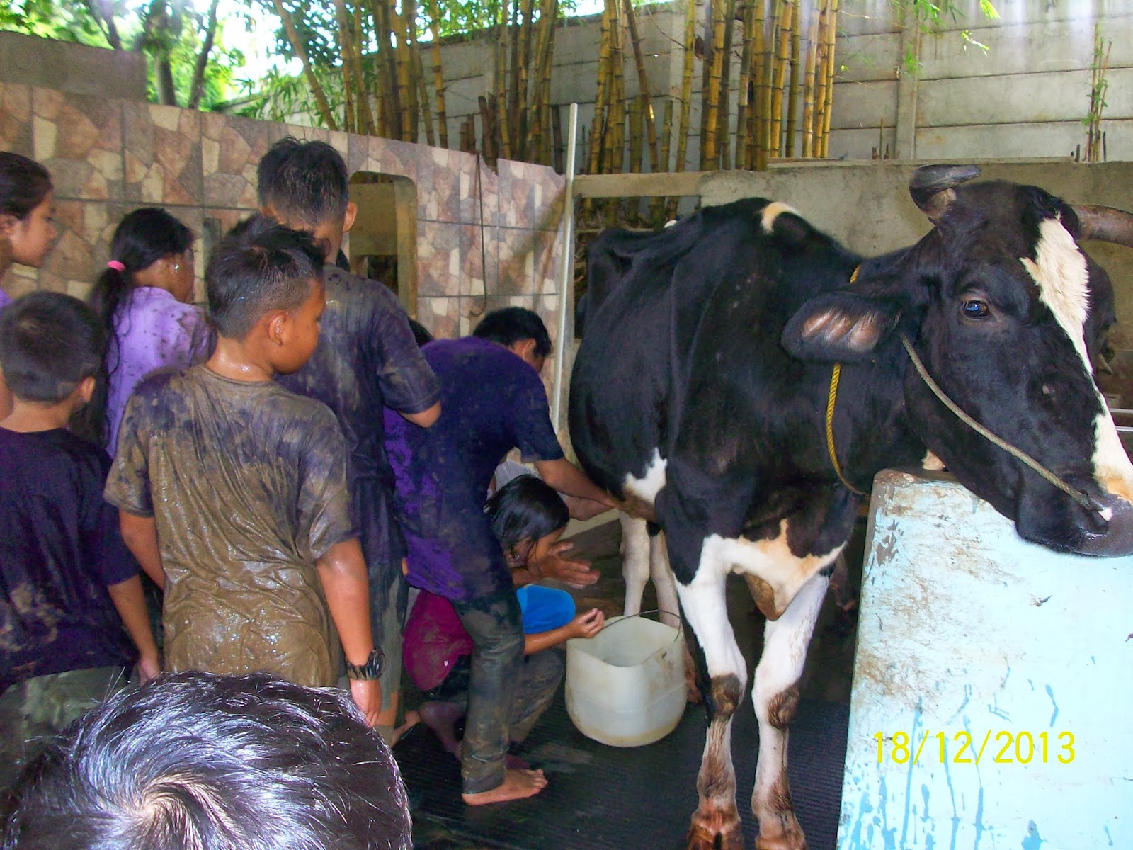 Elvira Vacation Tour Organizer PAKET OUTBOUND PELITA DESA