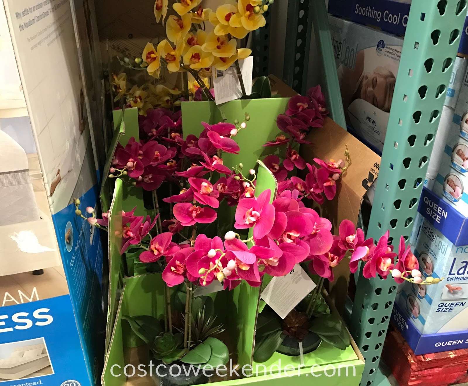 Cg Hunter Home Artificial Life Like Orchid Arrangement Costco Weekender