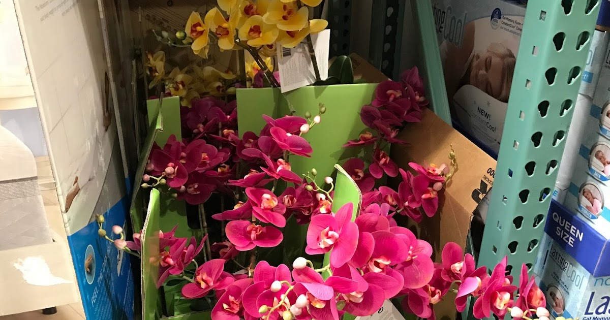 CG Hunter Home Artificial LifeLike Orchid Arrangement Costco Weekender