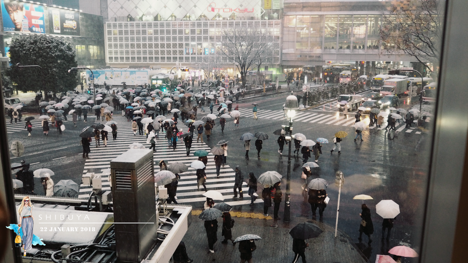 shibuya crosswalk