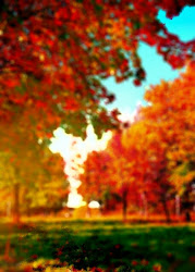 blur background natural editing picsart ultimate