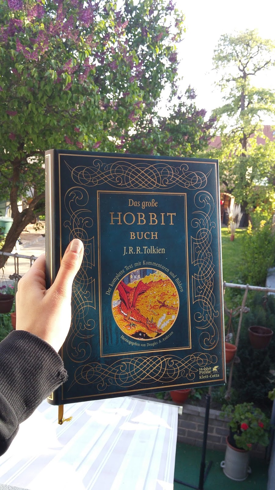 Der Buchdrache August 2017