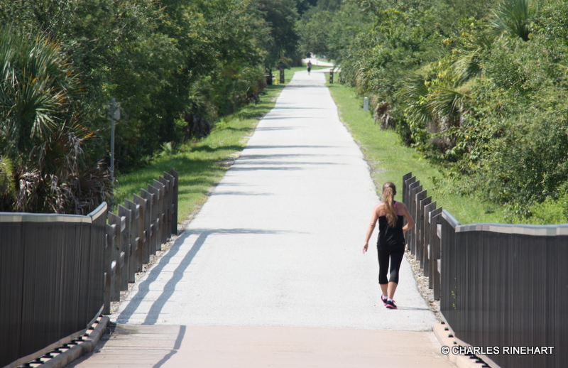 The Legacy Trail In Florida "Legacy Trail Sarasota" "multiuse paths"