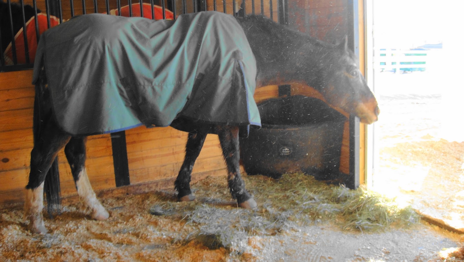 Moondance Ranch Crummy News X 2