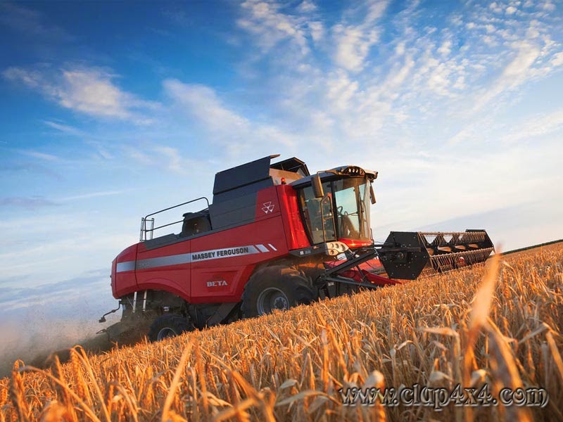 Tractors - Farm Machinery: Massey Ferguson Combine Harvester