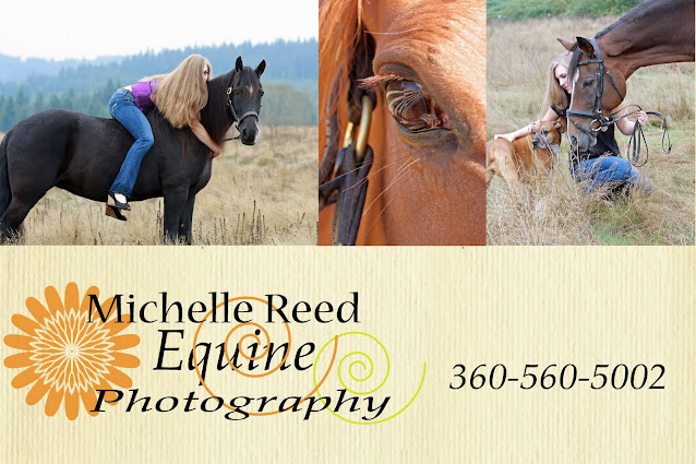 Michelle Reed Photography in Longview washington