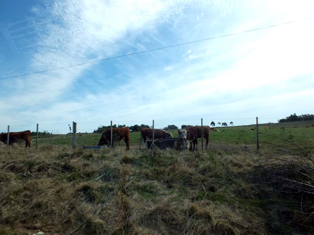 2 Bp Blogspot Com 8xhxln0fbv8 V2bblucdv2i Aaaaaaaaeko L