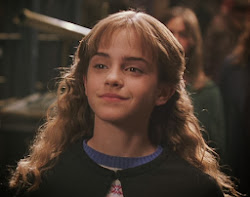 chamber secrets harry potter granger hermione 2002 mr gets