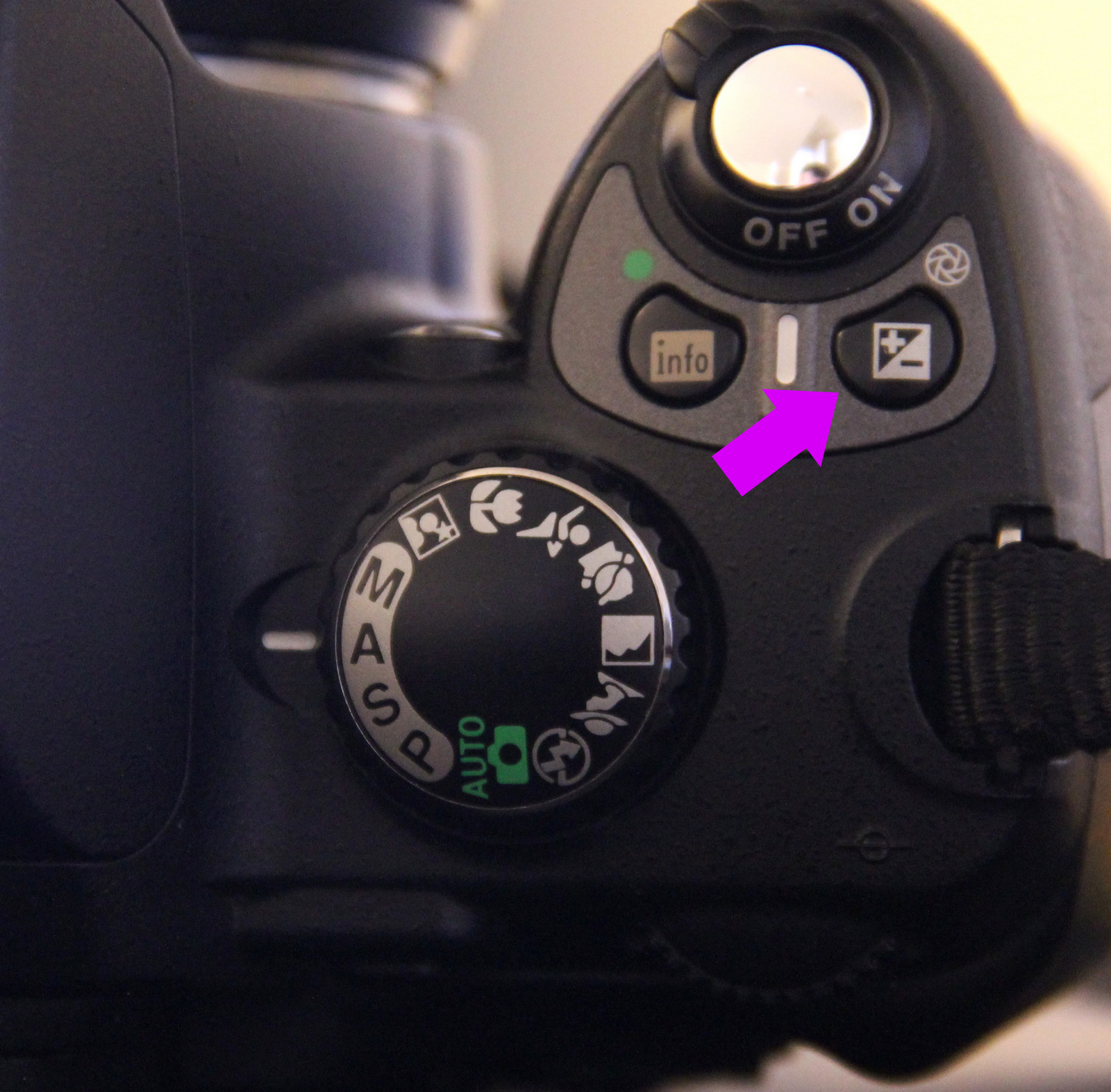 Nikon Newbie Nikon D40x Features