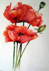 poppies watercolour watercolor painting flowers roses dandelions flower paintings floral florals background yvonne harry oil watercolours catch abstract easy daffodils