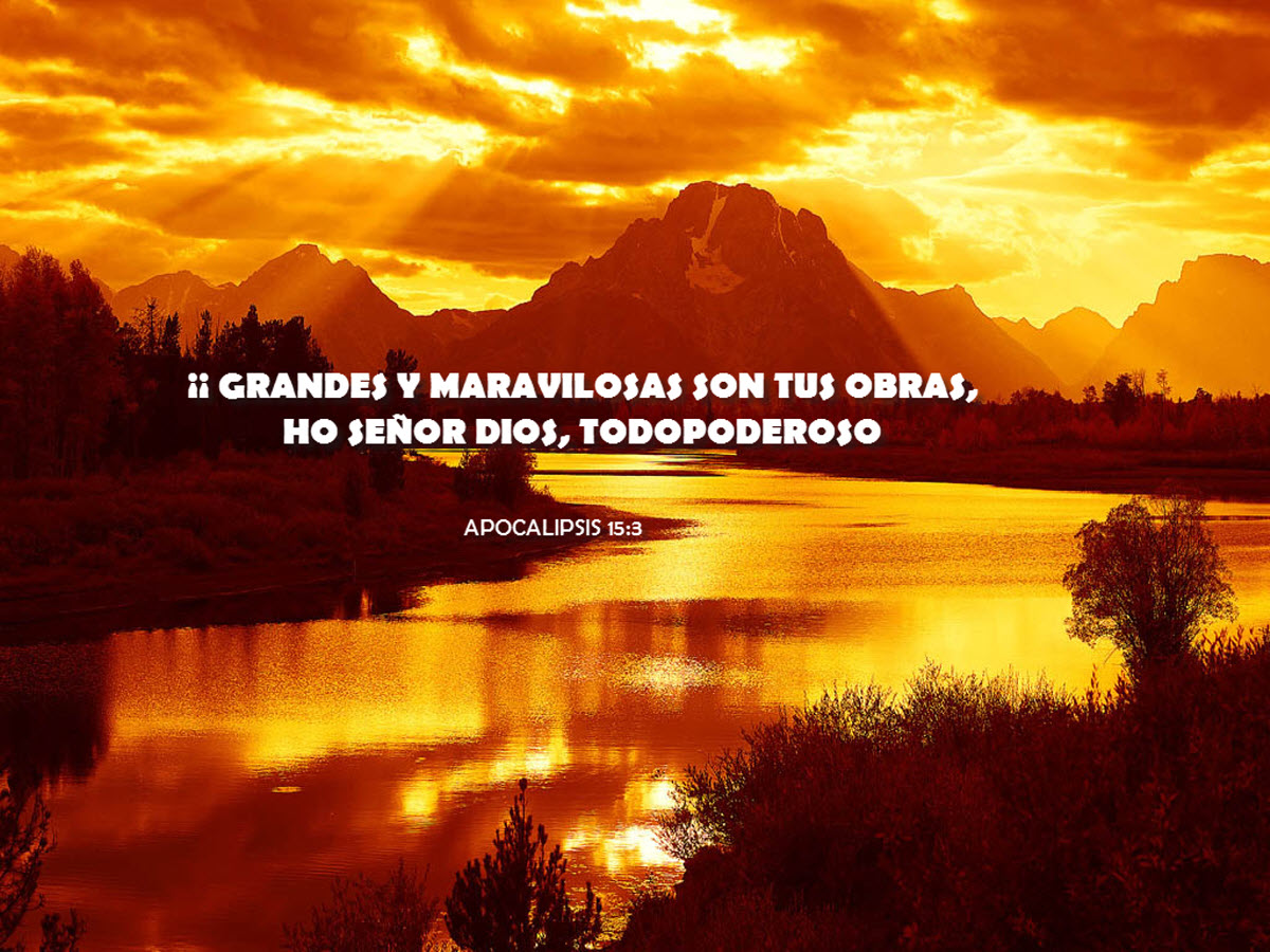 Ver las imágenes de origen