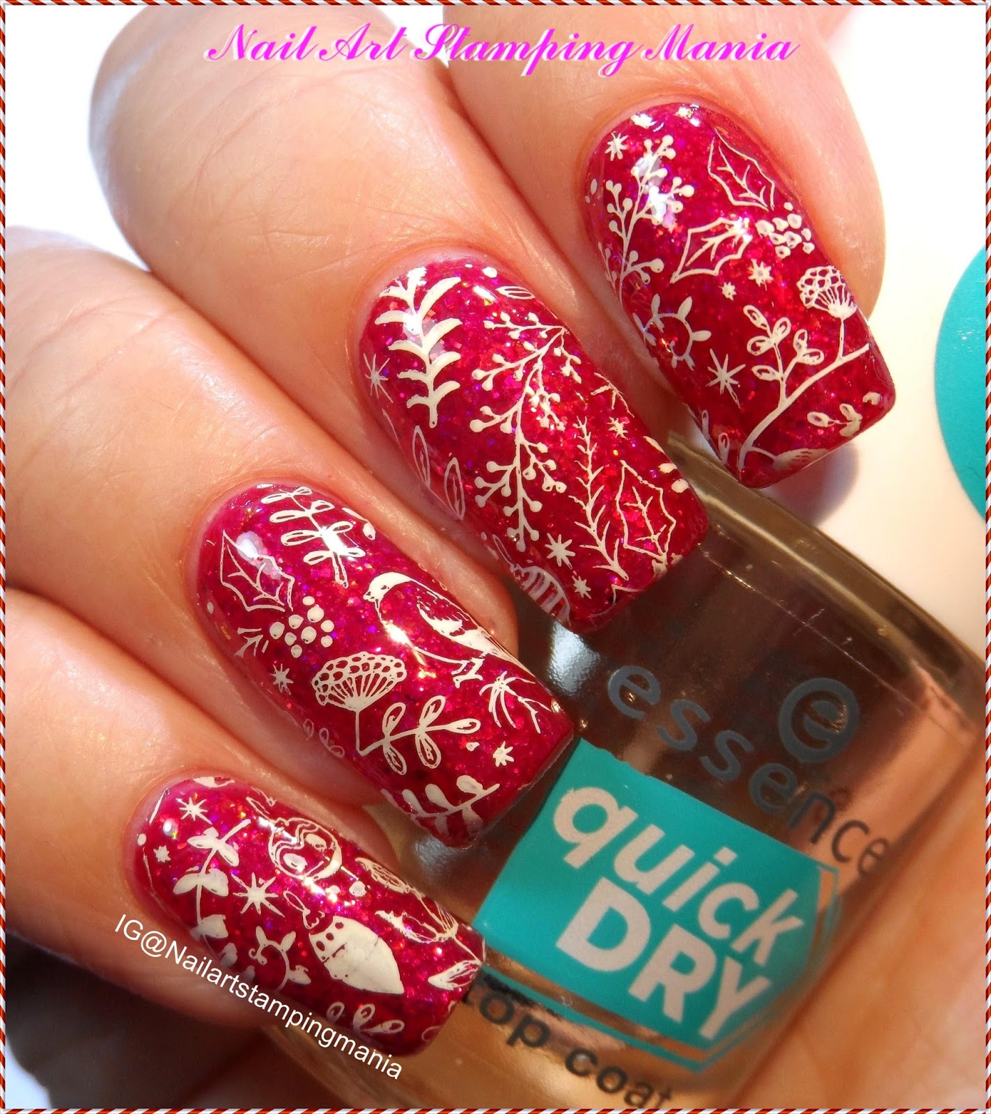 Nail Art Stamping Mania MoYou Nail Fashion "Special Events" Christmas