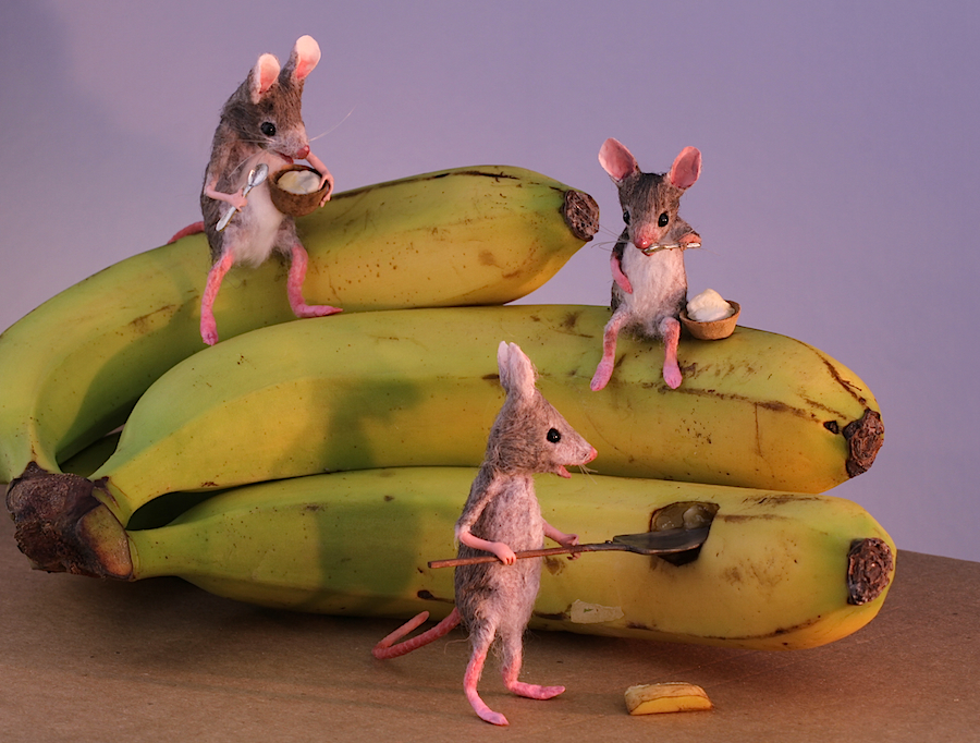 MousesHouses banana