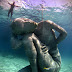 Ocean Atlas: A Massive Submerged Girl Carries the Weight of the Ocean