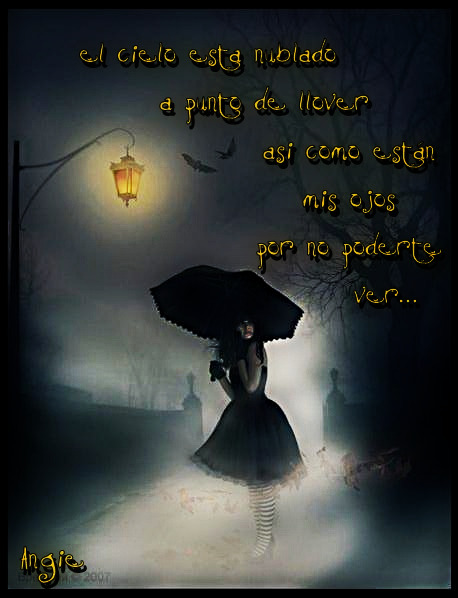 Ver las imágenes de origen