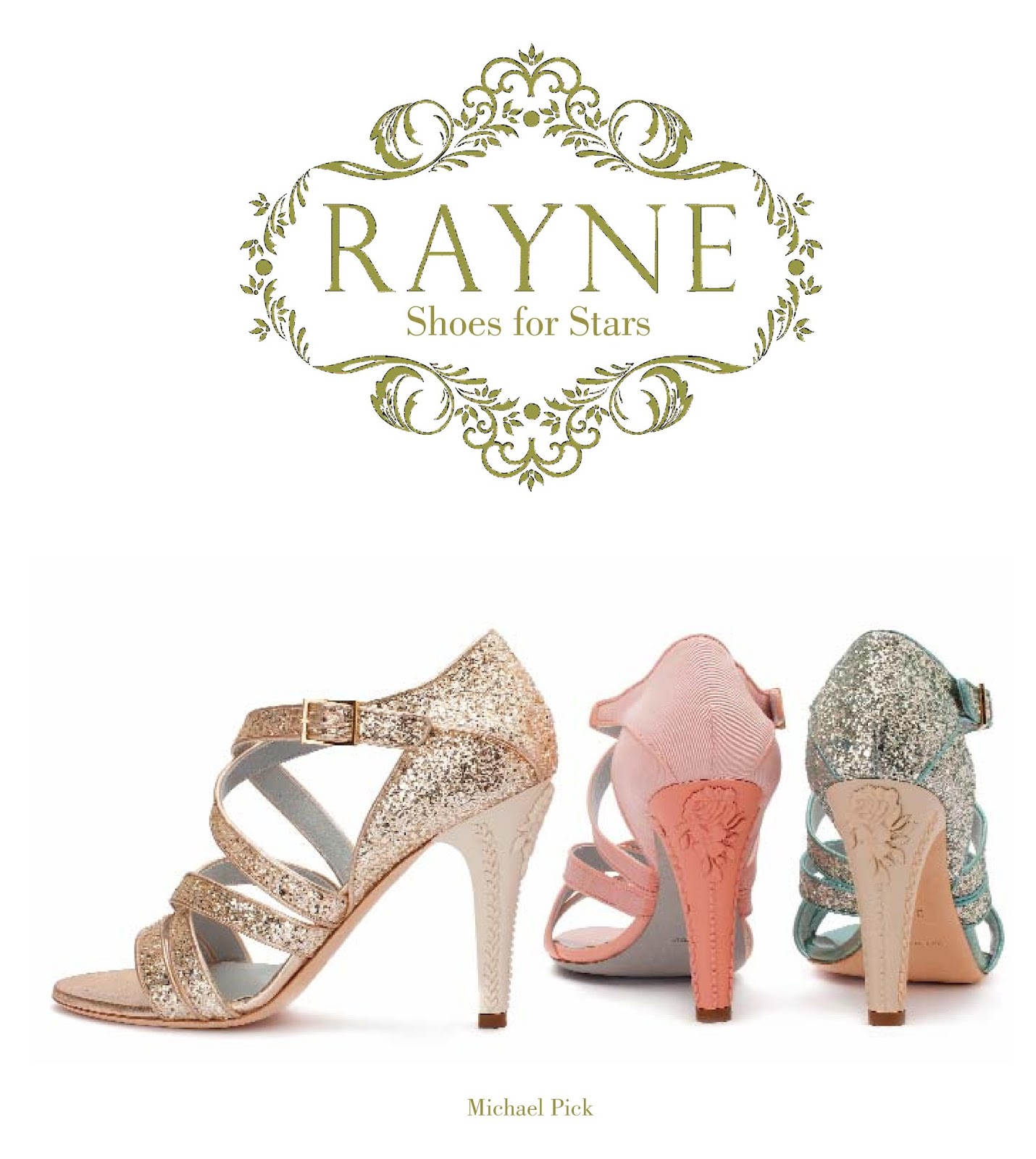 history of shoes book