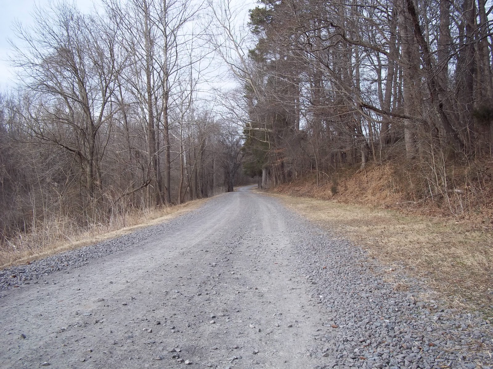 tanglewood park bike trails