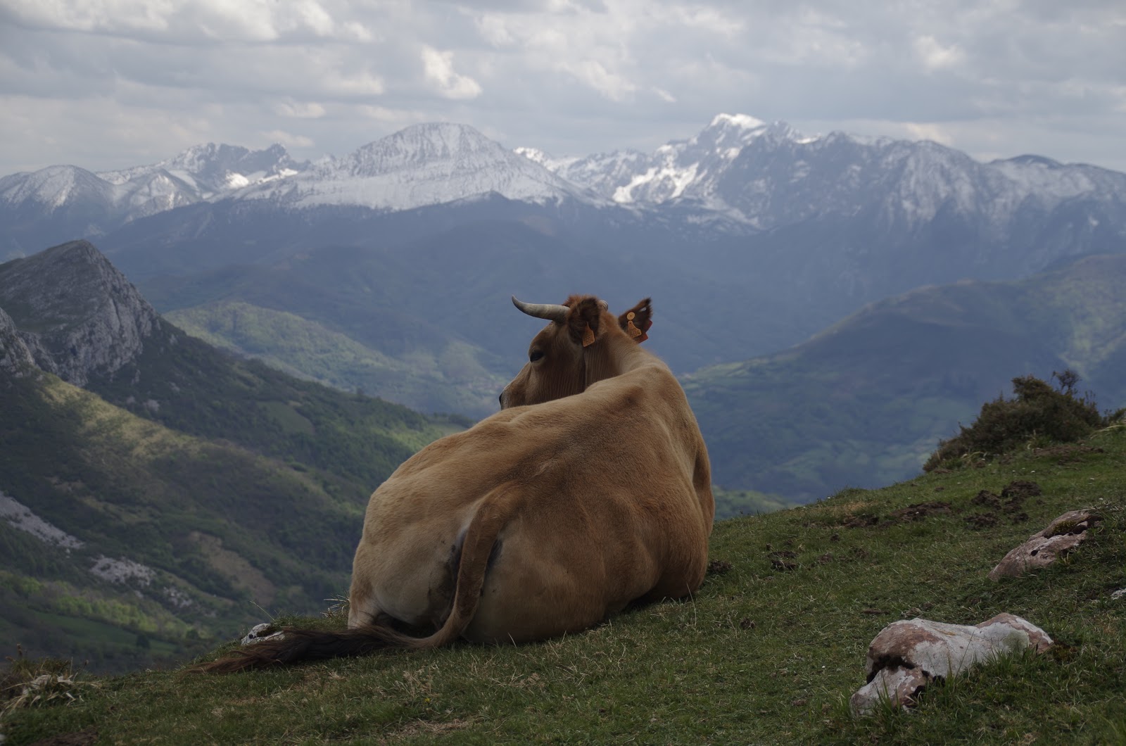 A lo bouzo: La Airua Naval desde la Rebolla [Quirós]