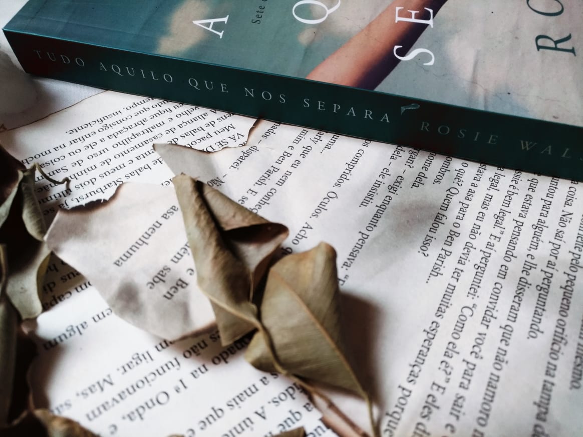 dica de livro: Tudo Aquilo que nos Separa - Rosie Walsh dica de livro: Tudo Aquilo que nos Separa - Rosie Walsh