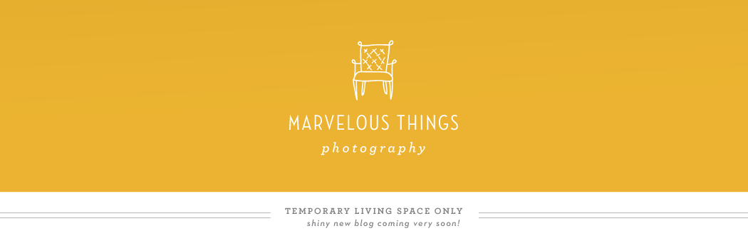 Marvelous Things Photography: The Blog