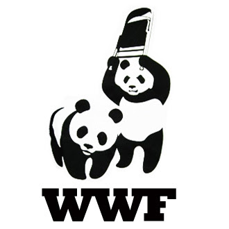 Mr Fuji 1934 2016 Il Morto Del Mese