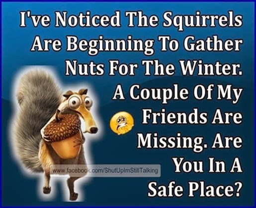 I've Noticed The Squirrels Are Beginning To Gather Nuts For Winter