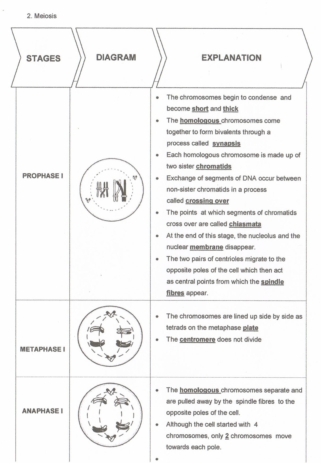 BIOLOGY Form 4 Chapter 5 Module's answer