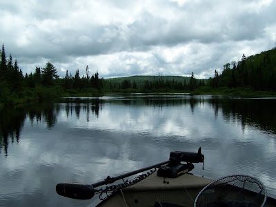 Pêche brochet, Blogue de pêche, Daniel Lefaivre, article sur la pêche, Pêche avec guide, guide de pêche, Lac Mékinac, Ouananiche, Carnassier, pêche eau douce, Parlons pêche