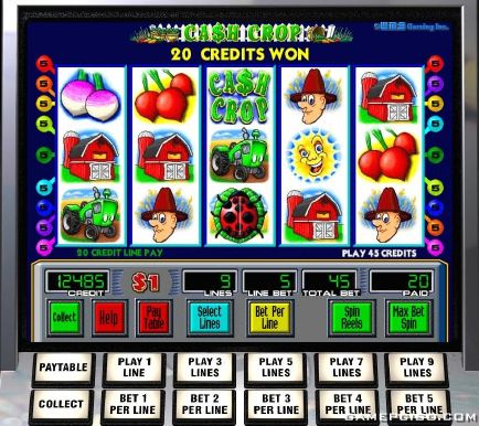 Free wms slots online usa poker Free wms slots online usa poker