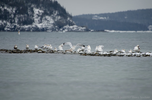 winter seascape