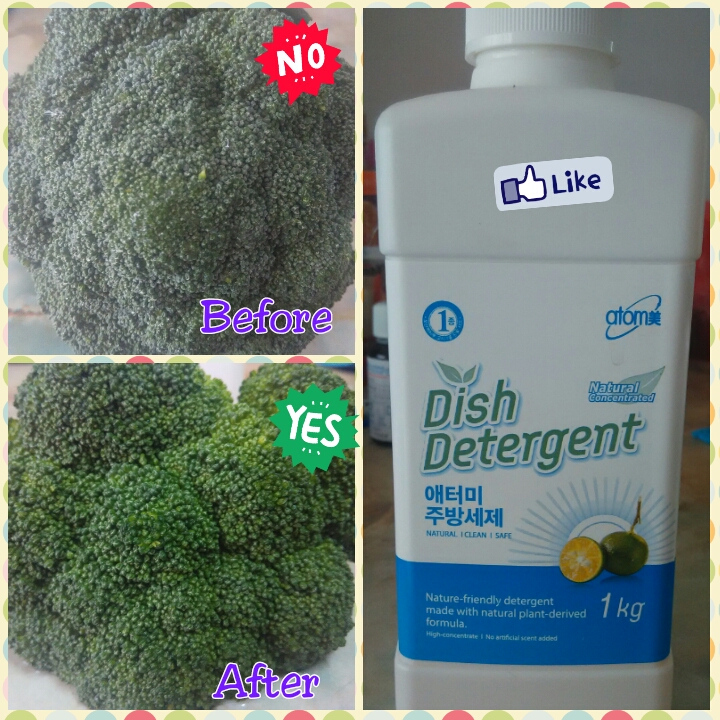 The Biri Mummy Atomy Review Atomy Dish Detergent & Scrubber