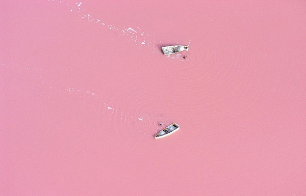 Pink Lake Retba, Senegal