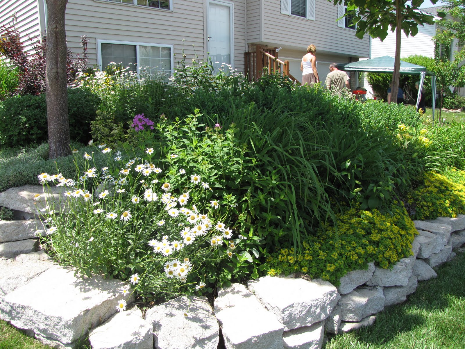 A Corner Garden Sunday's Garden Tour