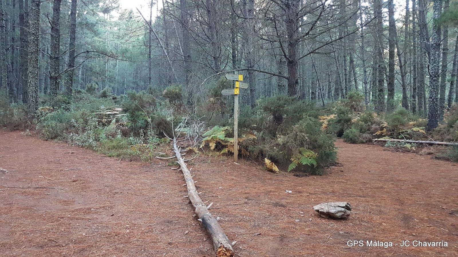 Wikiloc Ruta Circular Juanar Bosque Encantado, Castañas y Miradores