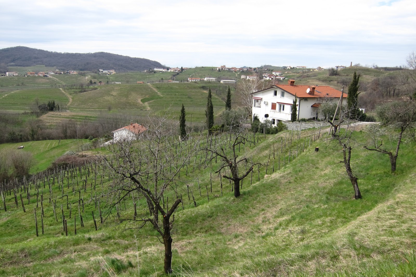 Bancroft Wines Blog: Feeling inspired in the Goriska Brda, Slovenia