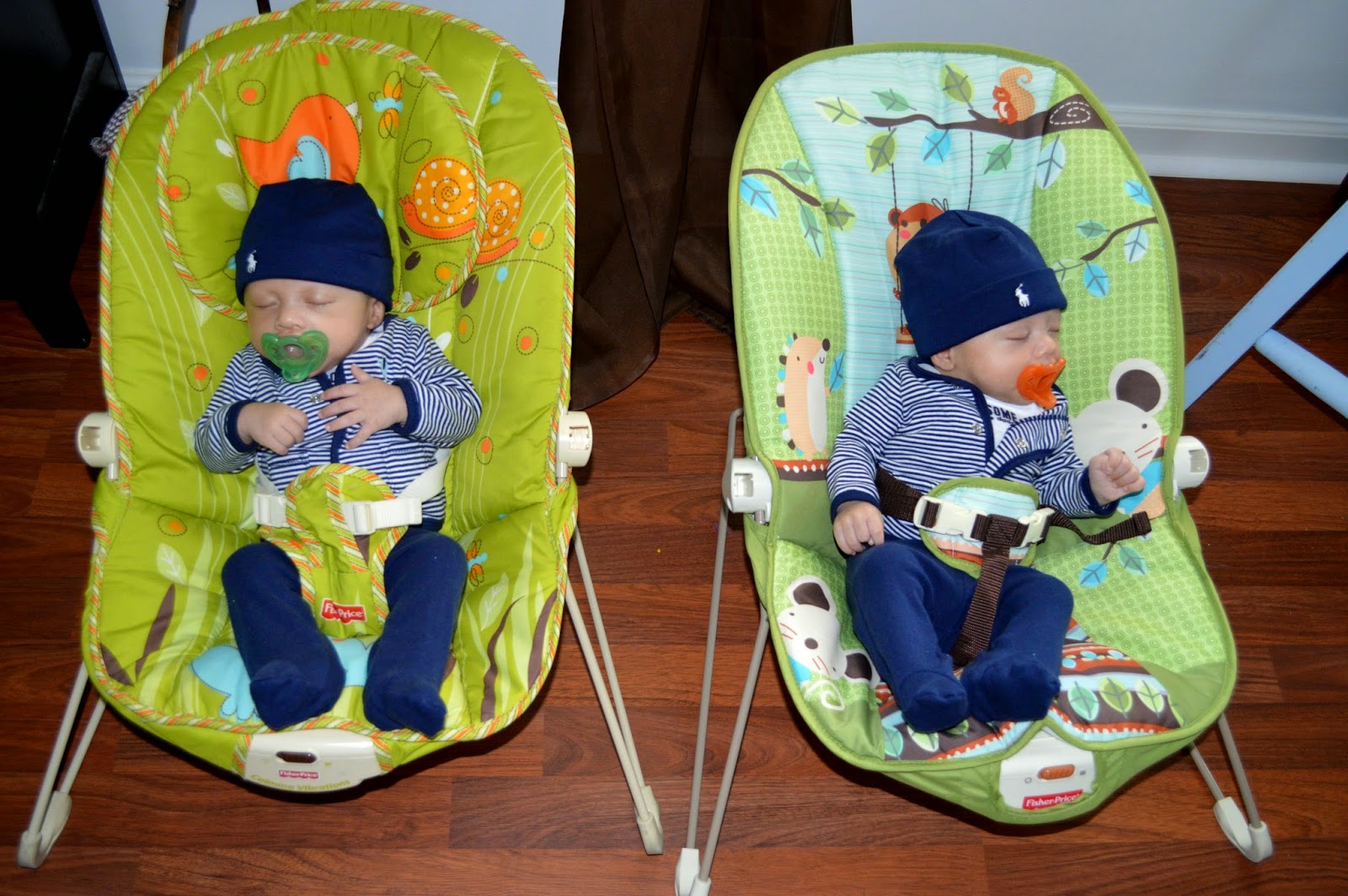 Loving Life Baby Equipment for Twins