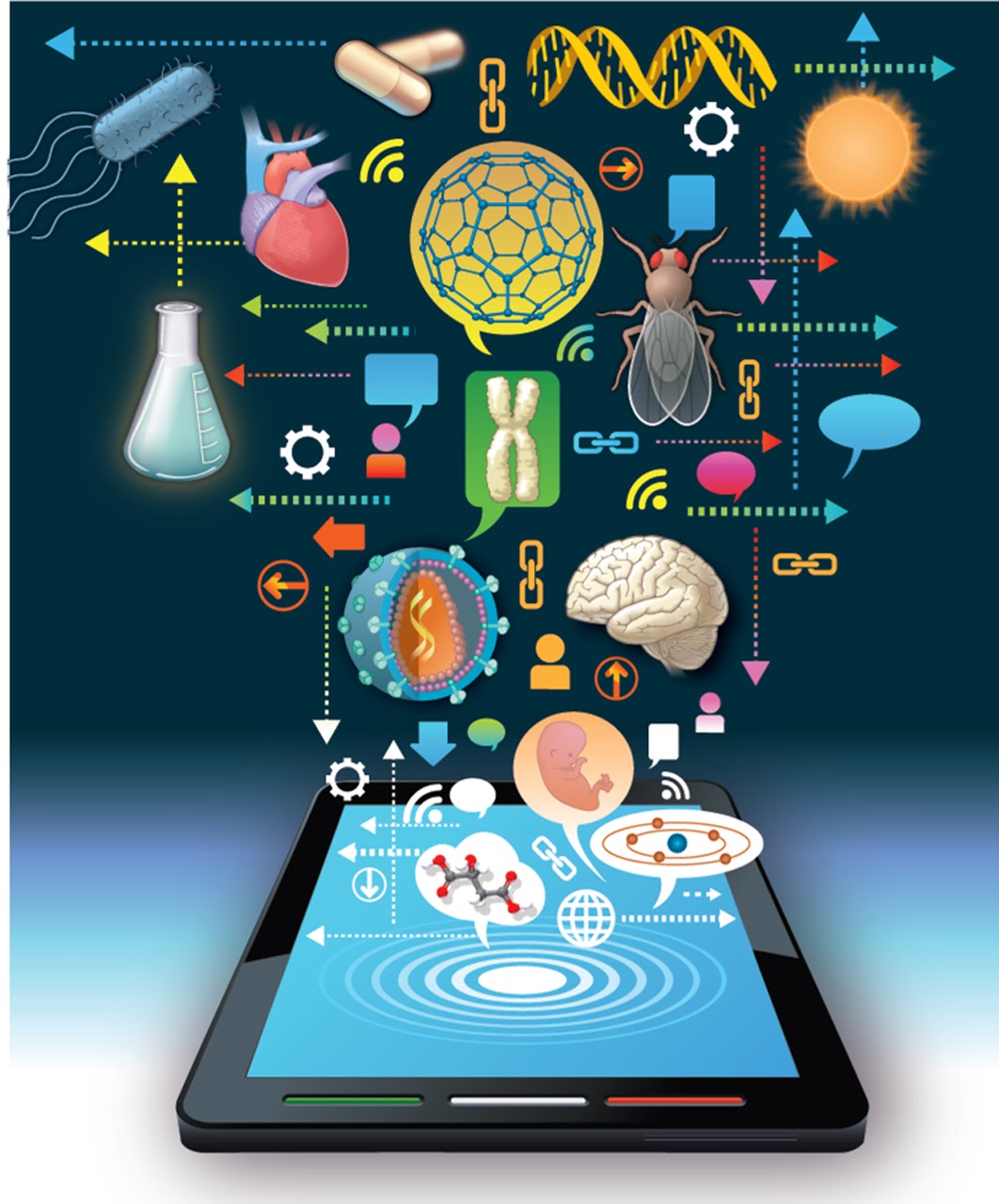 Ciencias Biologia Y Quimica Lo Mejor ¿que Es La Ciencia