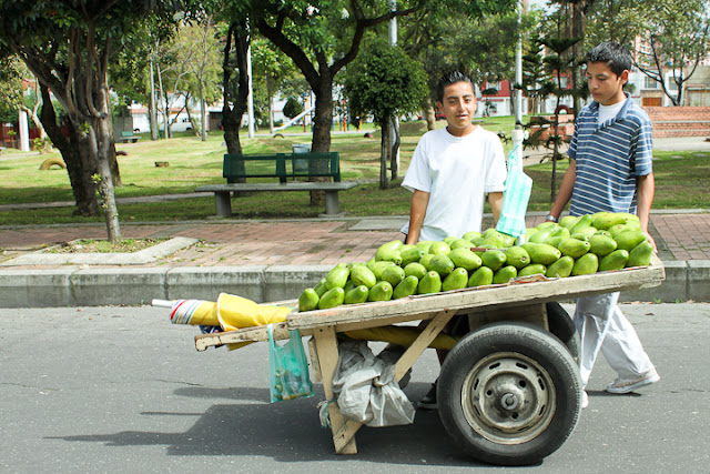 aguacates Colombia