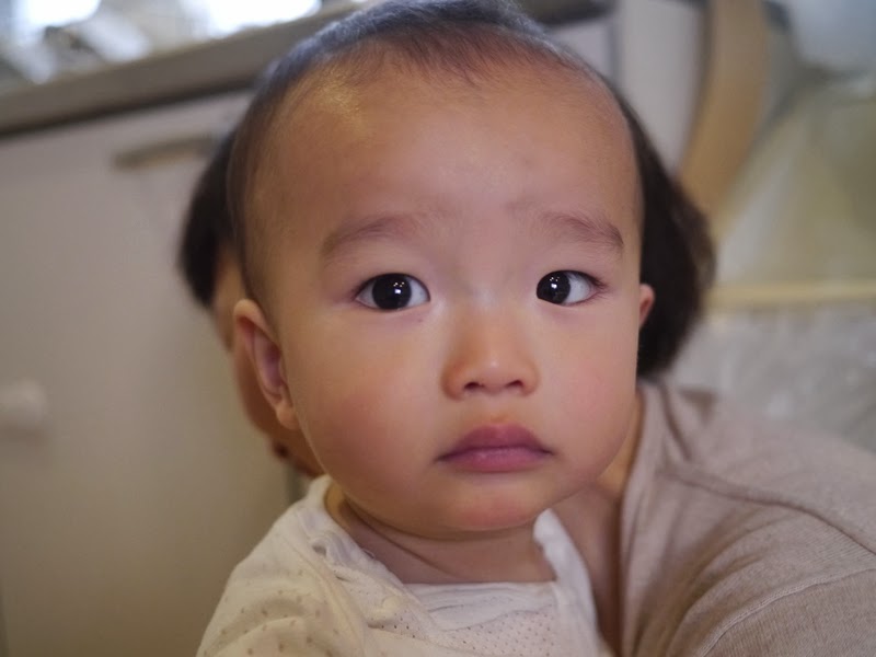 picca diary 要10ヶ月