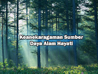 Pernyataan Keanekaragaman Sumber Daya Alam Hayati Dan Konservasinya IPS (Ilmu P.Sosial) Pernyataan Keanekaragaman Sumber Daya Alam Hayati Dan Konservasinya IPS (Ilmu P.Sosial)
