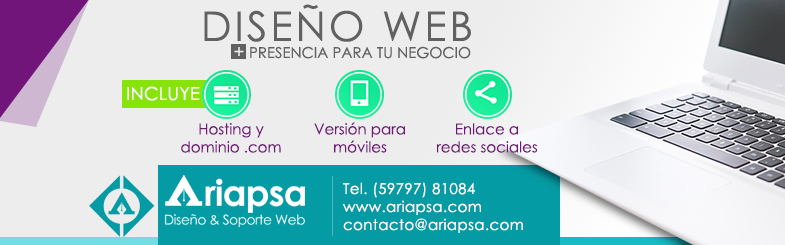 Ads/ Diseño web