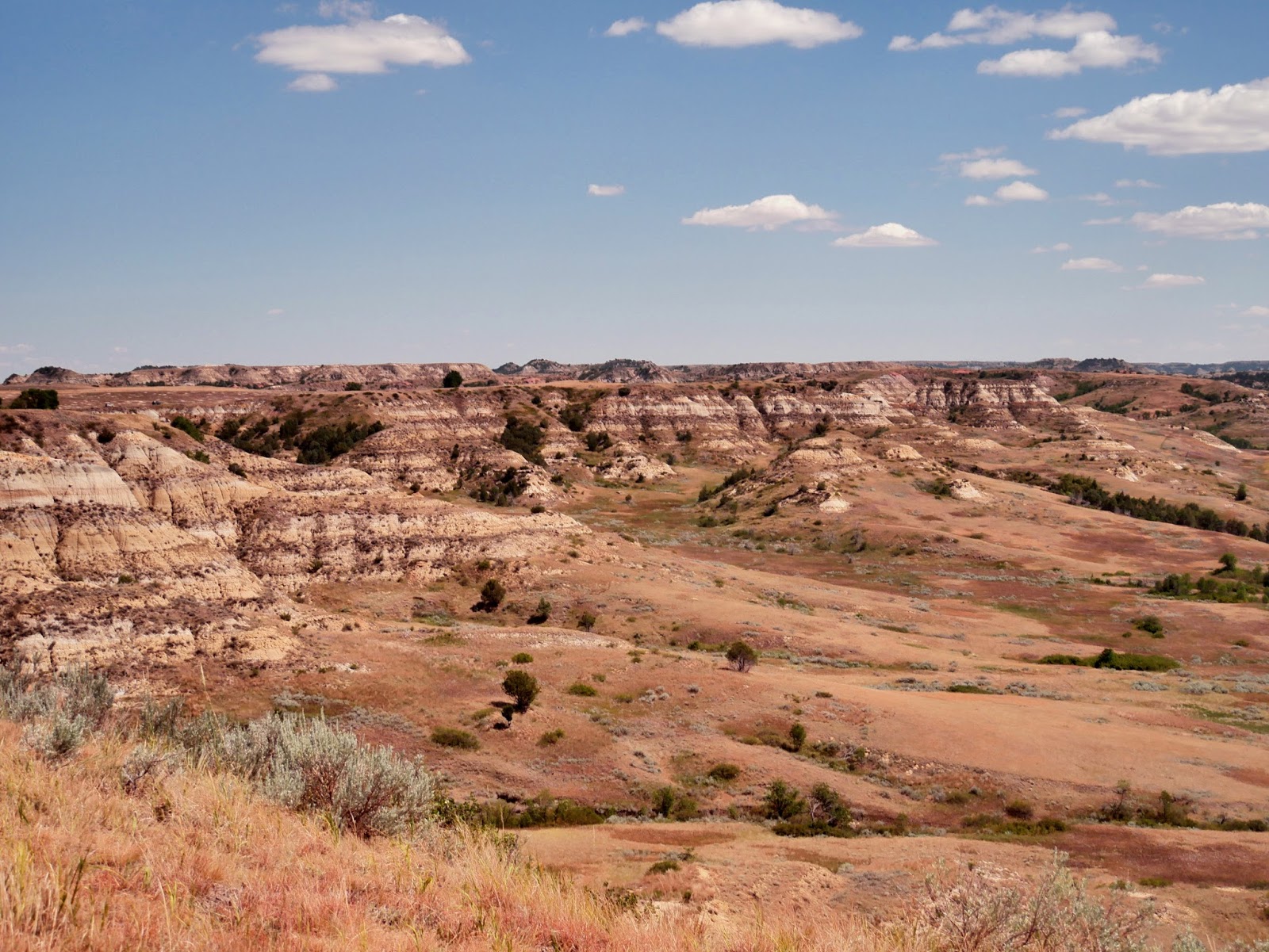 American Travel Journal Skyline Vista Trail Theodore Roosevelt