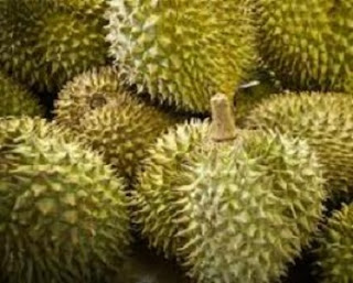 manfaat-durian-untuk-kesehatan http://semua-katacinta.blogspot.com/