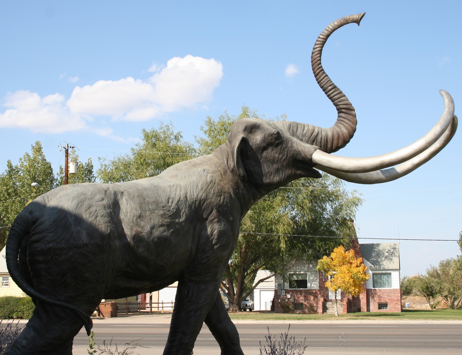 Moving to Worland, Wyoming March 2016