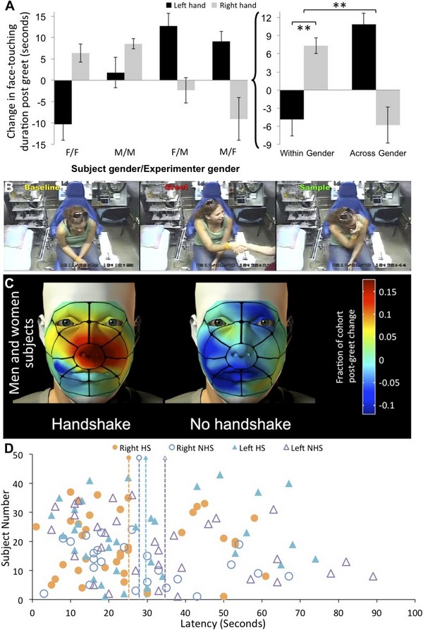 باحث إسرائيلي يثبت مخاطر مصافحة الرجل للمرأة