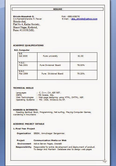 nz cv template