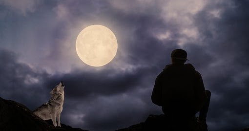 The Moon And The Elephant Leave The Barking Dogs Alone